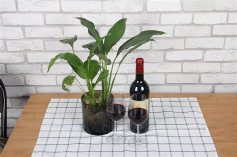 喝一杯红酒就上头