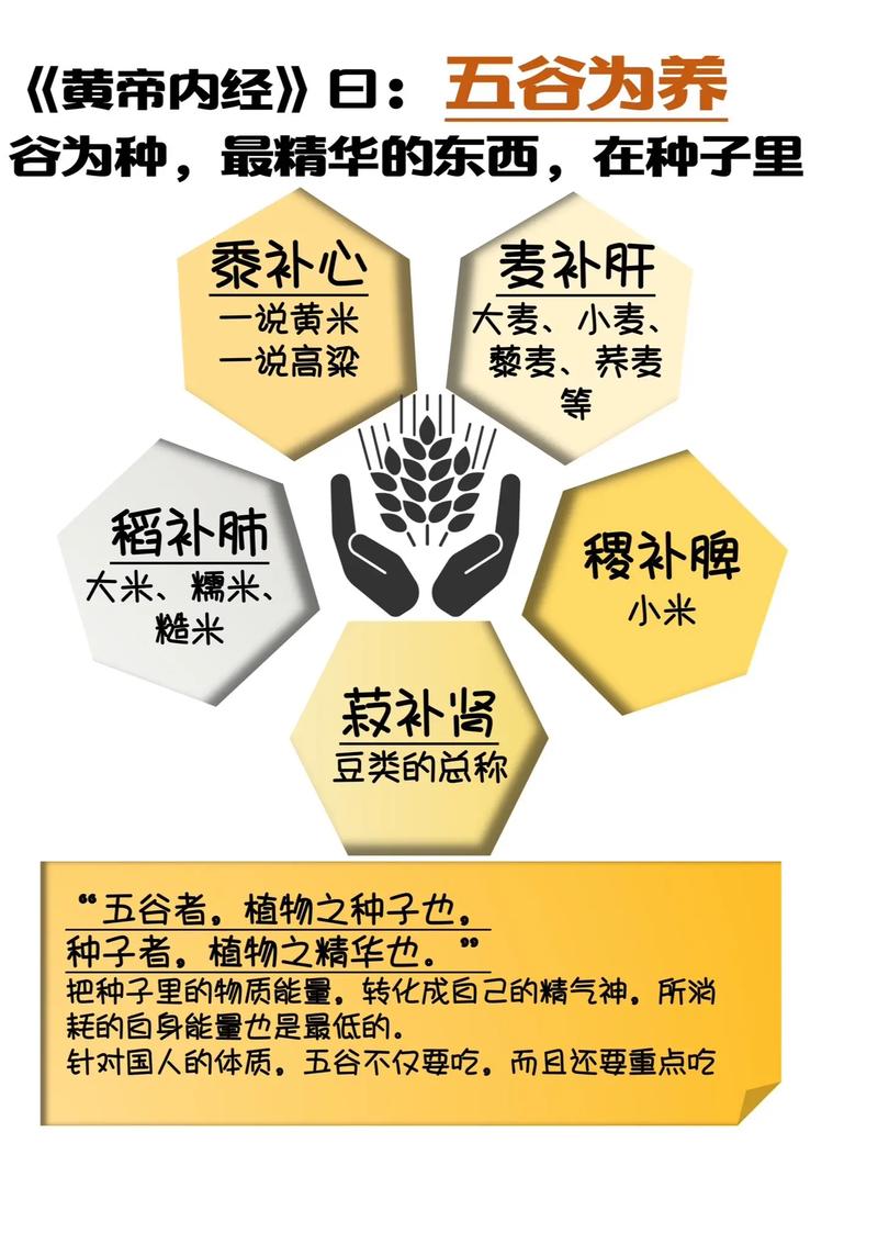 黄豆酱的功效与作用及营养价值