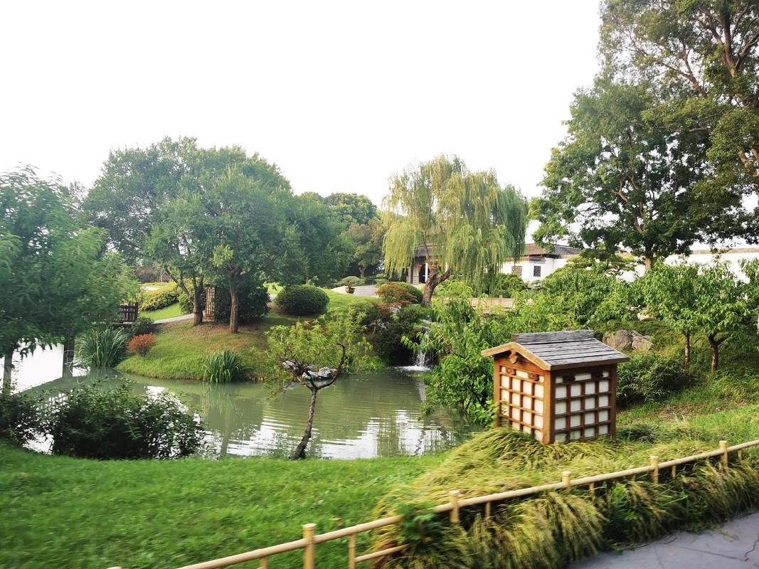 旅游怎么减肥