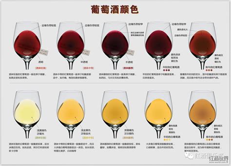 白酒和红酒能混合吗