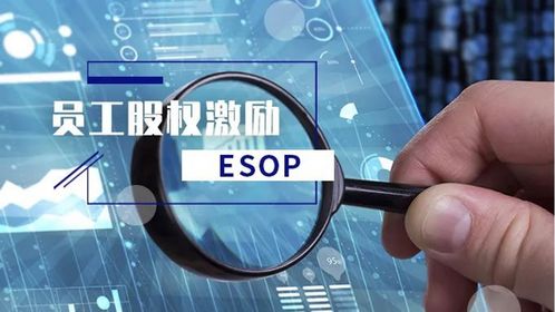 年股权激励计划授出受限制股份