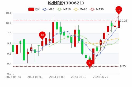 南向资金月日净买入信和置业万股连续日增持