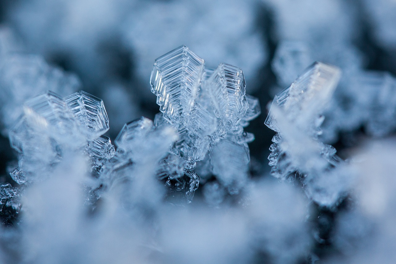 东北暴雪破纪录，雪落无声，影响深远