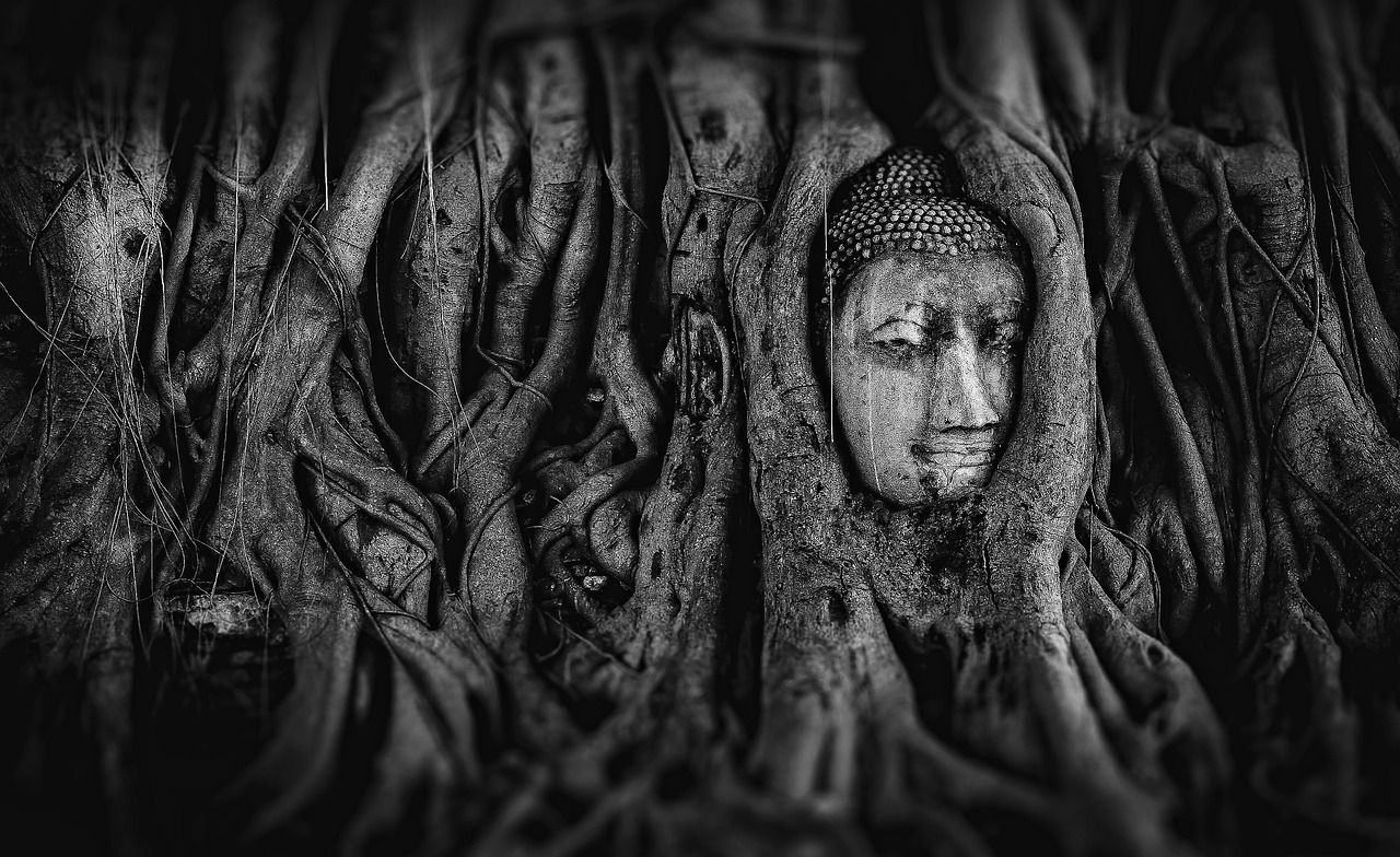 原神，探索奇幻世界的冒险之旅