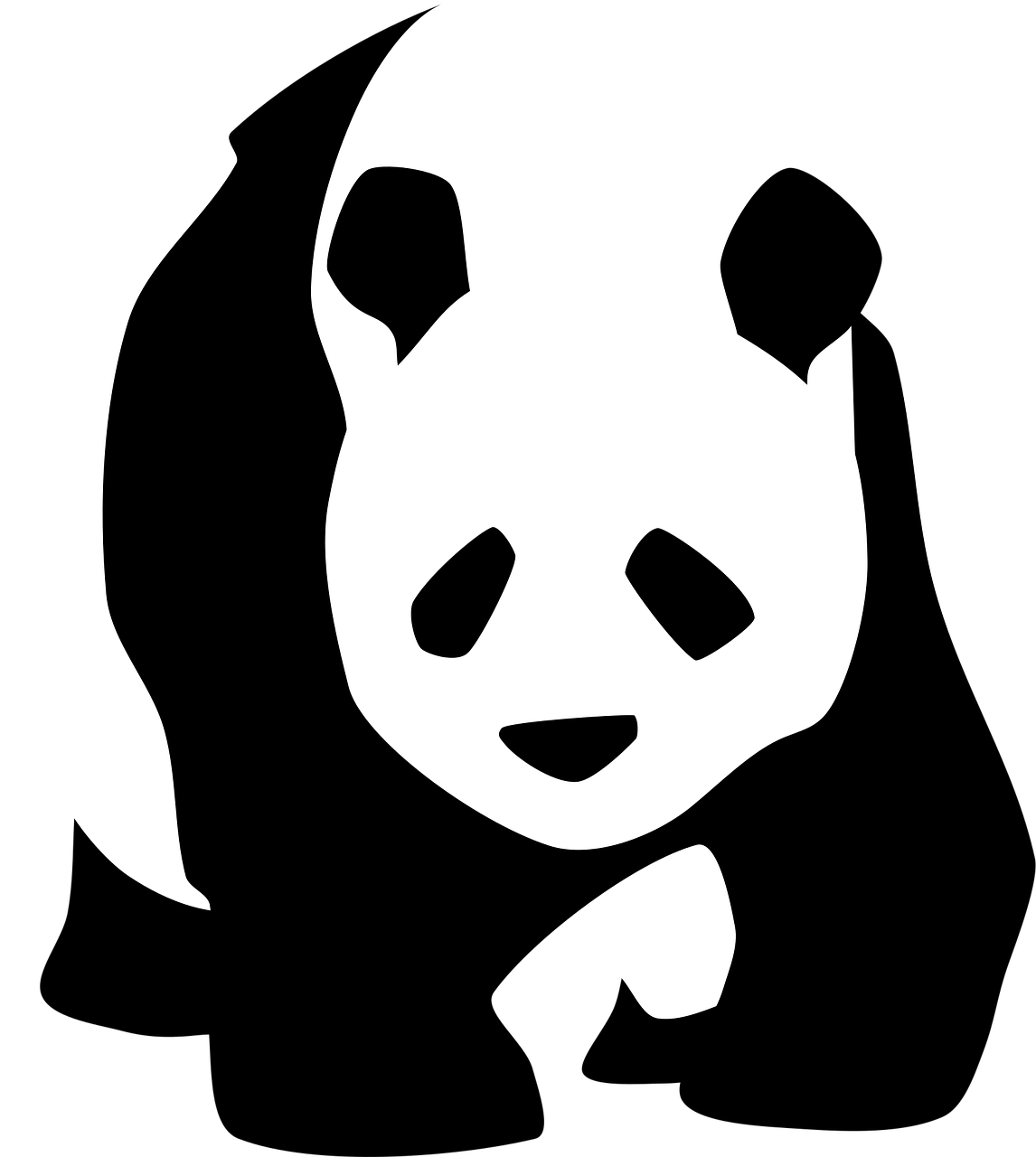 熊猫的秘密，从濒危到国宝的传奇故事